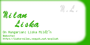 milan liska business card